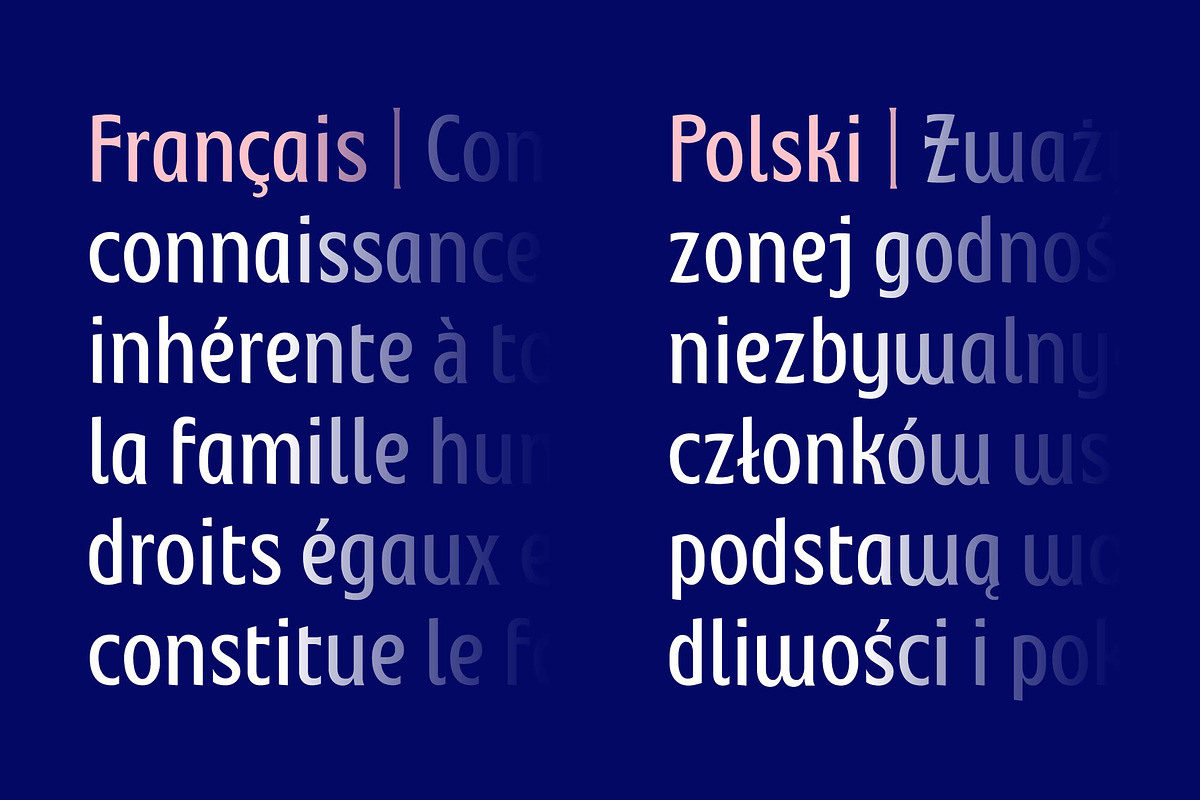 Montagna LTD, a Sans Serif Font by Hederae Type Foundry (Photo 13 of 20)