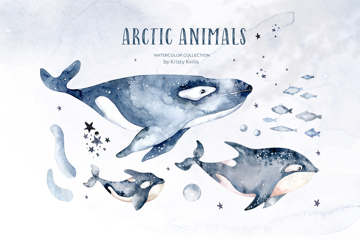 Arctic cute animals.  Watercolor set, an Animal Illustration by Peace ART (Photo 7 of 22)