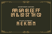 Lostgala, a Symbol Font by Vintage Division (Thumbnail 13 of 15)