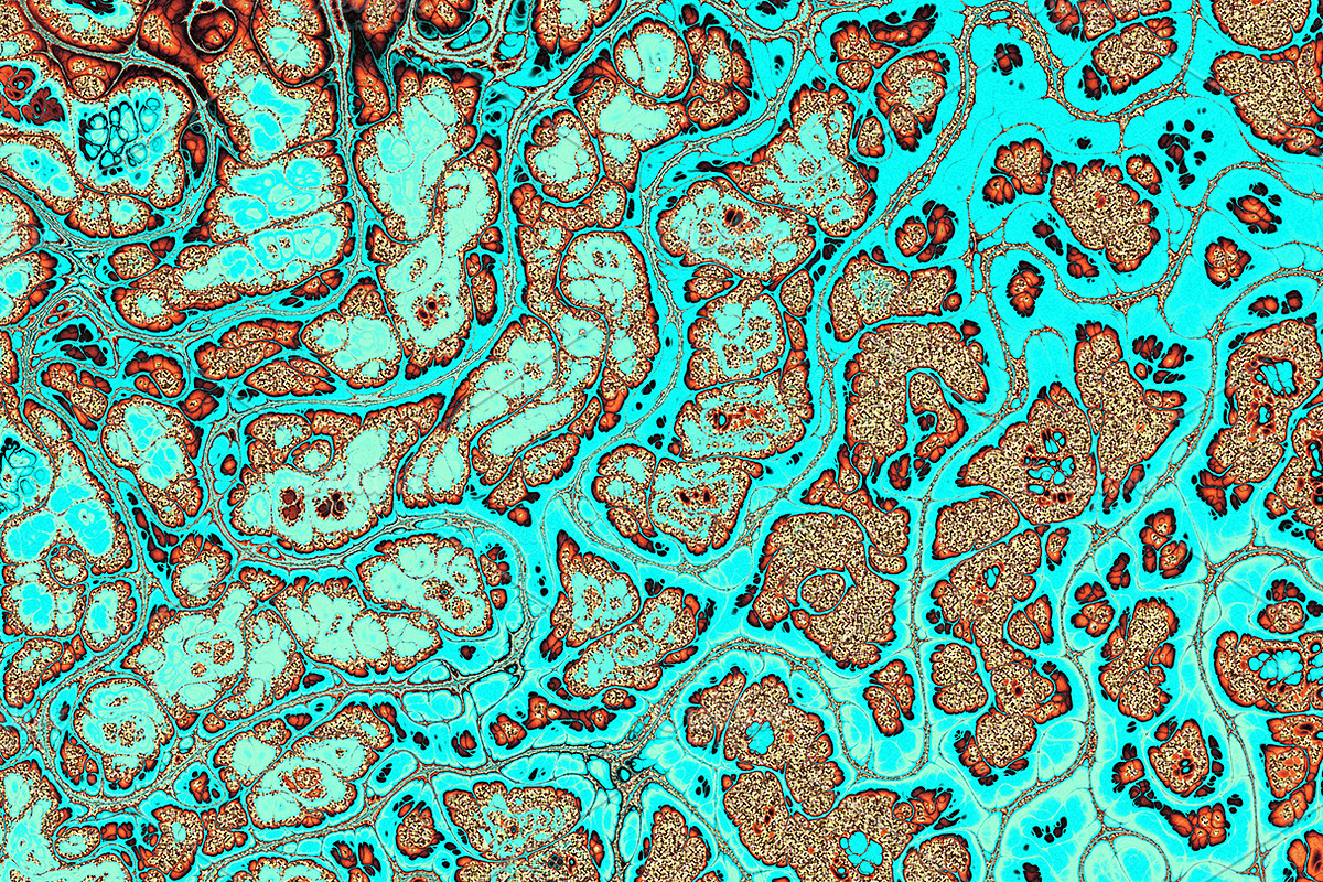 20 turquoise textures 64 Megapixel, a Texture Graphic by tkdesign (Photo 7 of 20)