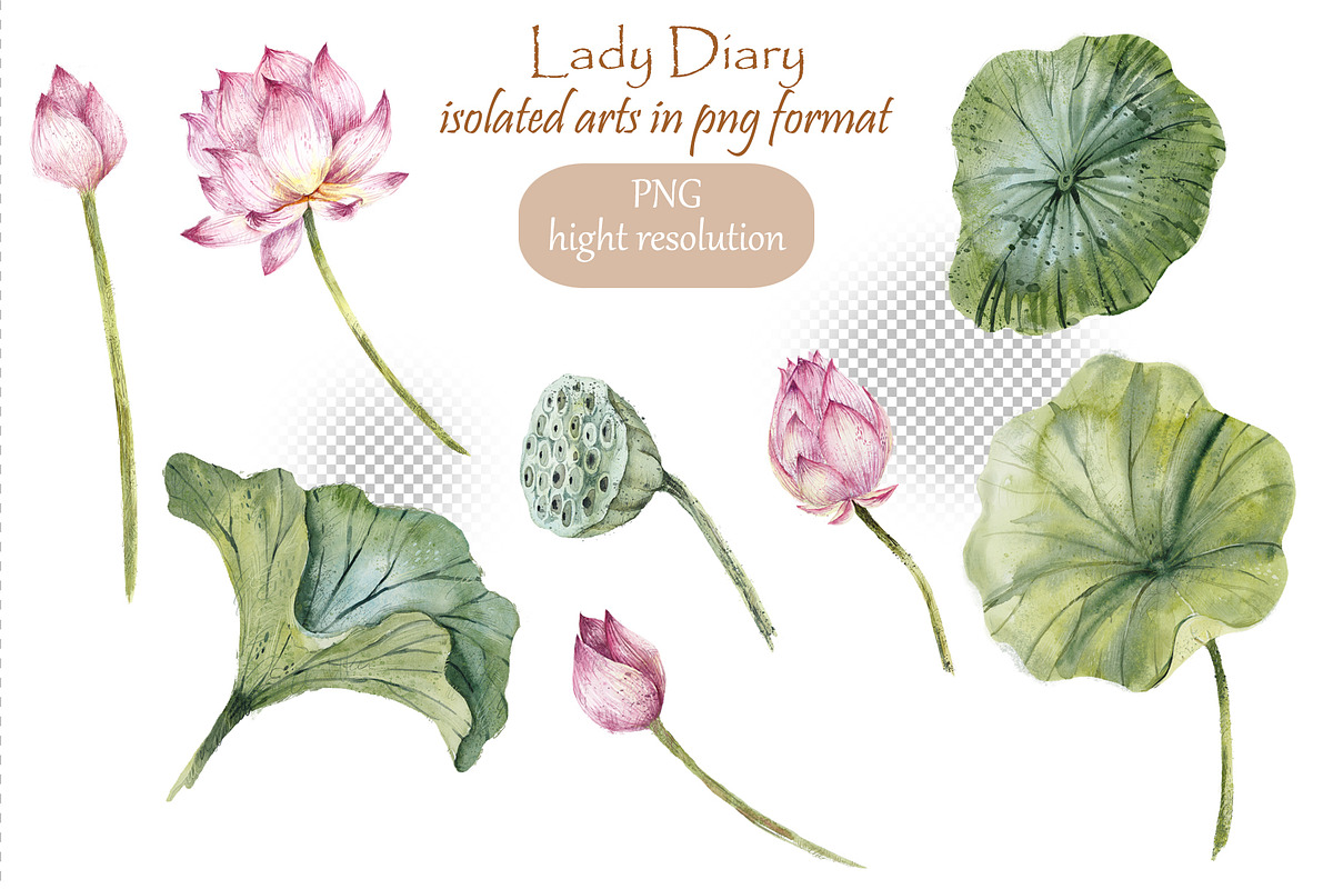 Lady Diary, an Object Illustration by Budogoshch (Photo 5 of 9)
