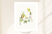 Watercolor Daffodils Floral Wall Art, a Decorative Illustration by MariaScaroniAtelier (Thumbnail 2 of 8)
