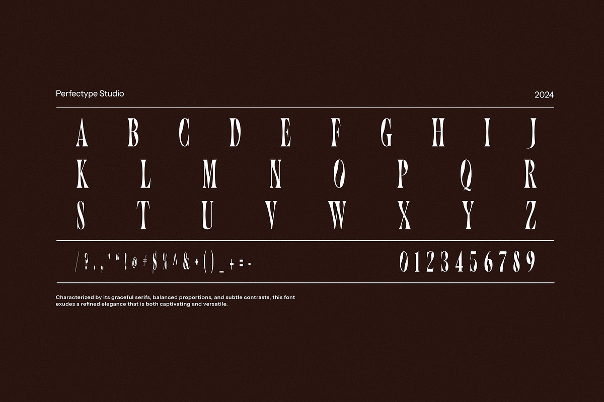 Toughe Unique Serif Font, a Serif Font by Perfectype (Photo 7 of 8)