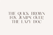 Roilra - Serif Ligature Font, a Serif Font by suhadidesign (Thumbnail 3 of 13)