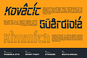 Stander - Sport Font, a Slab Serif Font by Pandeka Studio (Thumbnail 4 of 12)