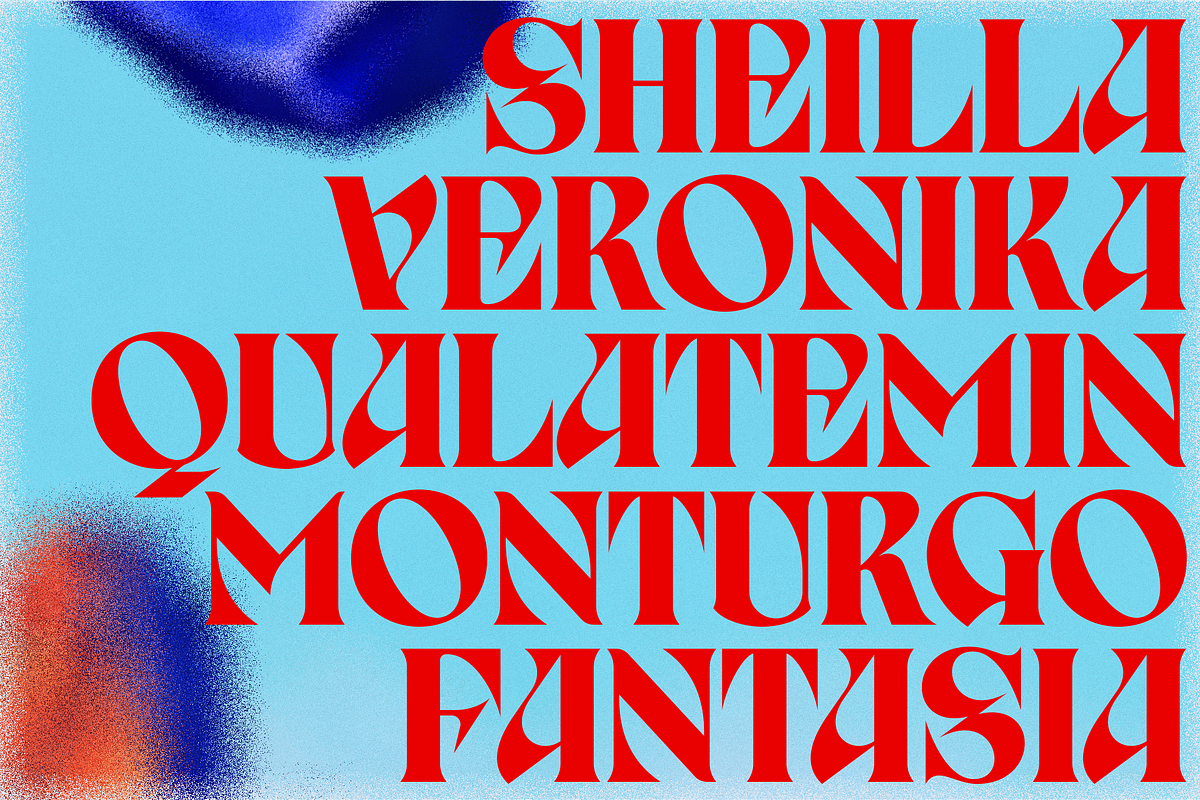 Birvase Display Font, a Serif Font by Bagerich Type Foundry (Photo 6 of 12)