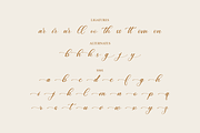 Cathylise Janetson Script Font, a Script Font by Storytype Studio (Thumbnail 14 of 16)