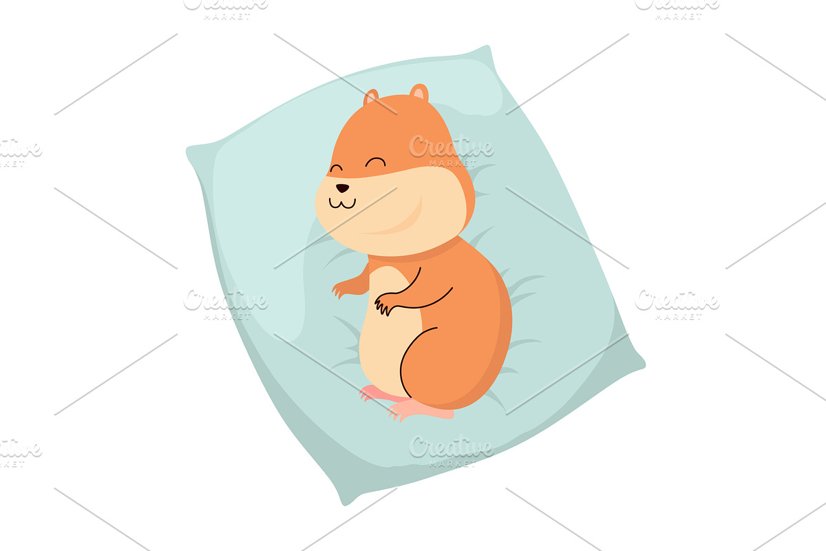 Cartoon hamster. Fluffy domestic pet, an Animal Illustration by the8monkey