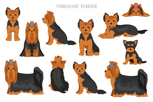 Yorkshire Terrier Clipart