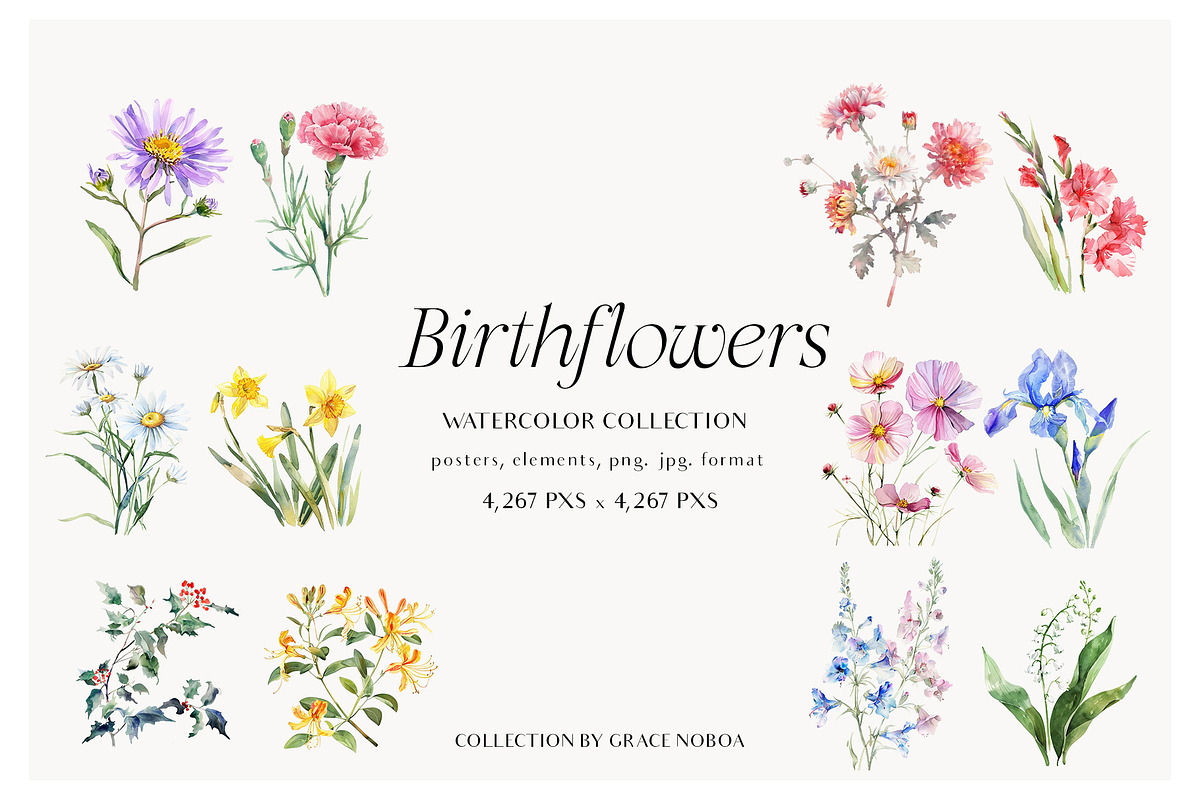 Watercolor Birthmonth florals Set, a Decorative Illustration by Grace Noboa Illustrations (Photo 3 of 10)