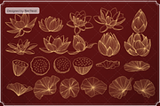 Chinese and Lotus NHD03, a Brush Add-On by Nan'Heidi (Thumbnail 2 of 8)