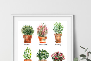 Watercolor Herbs And Flowers In Pots