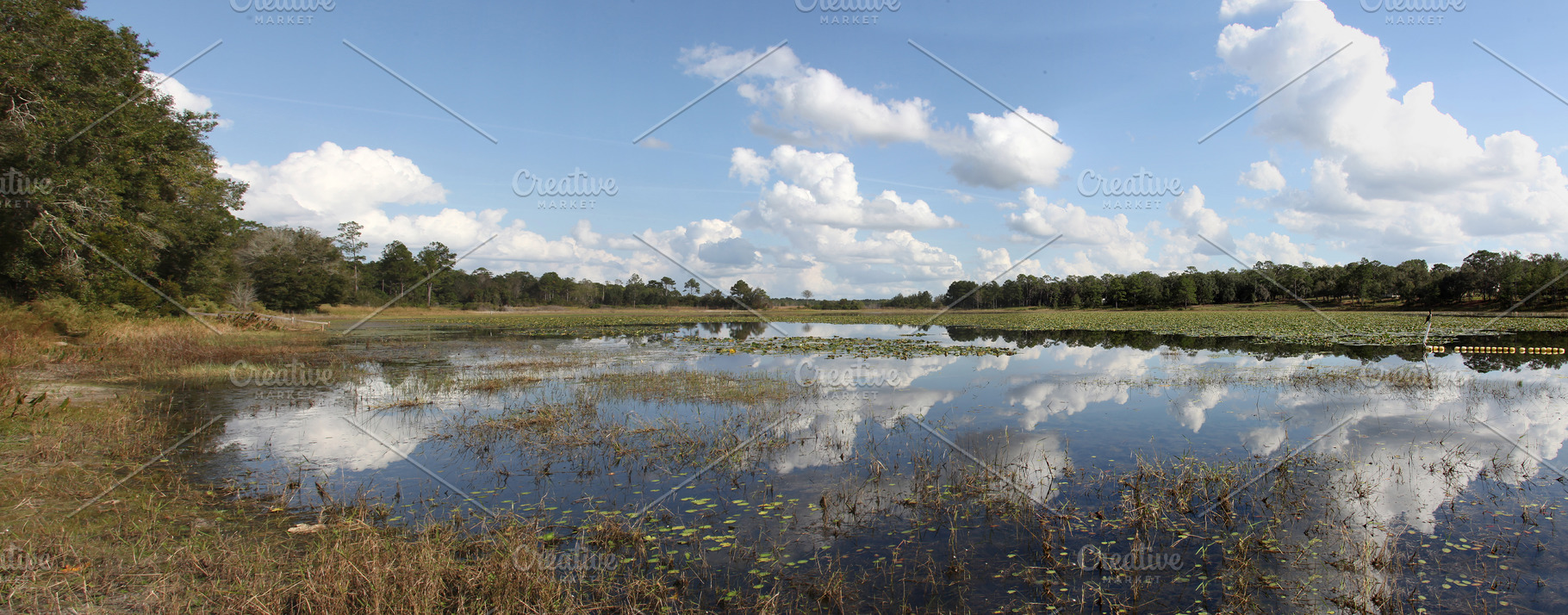 Lake in Gold Head Branch State Park, a Nature Photo by Viktor