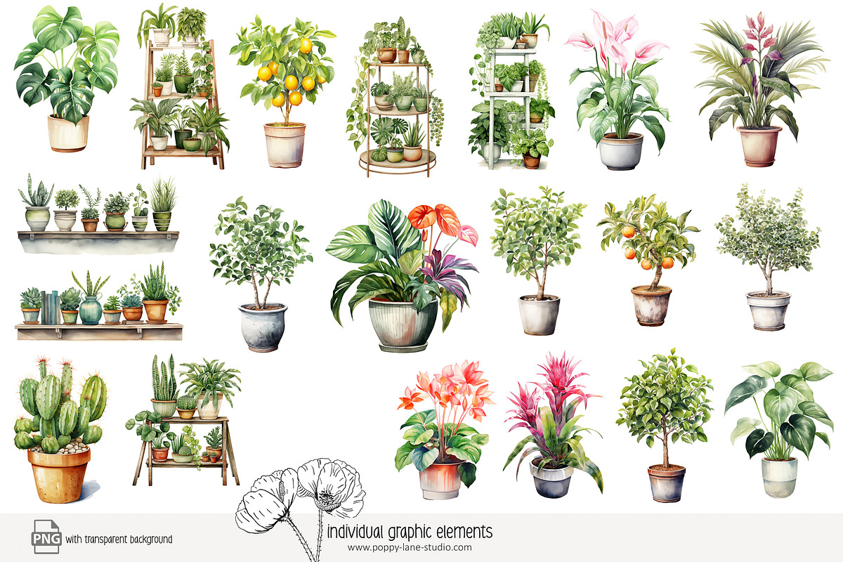100 watercolor house plants clip art, a Seasonal Illustration by Poppy Lane Studio (Photo 10 of 12)