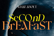 LeoStut, a Serif Font by studiobasic (Thumbnail 9 of 12)