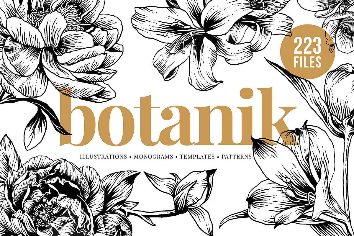 Botanical Illustration Bundle, an Illustration by Rough Edges Supply Co. (Photo 1 of 17)