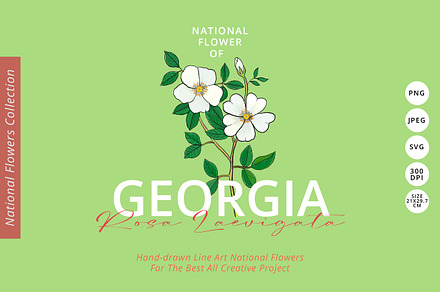 National Flower of Georgia, a Graphic by Hanatist Studio