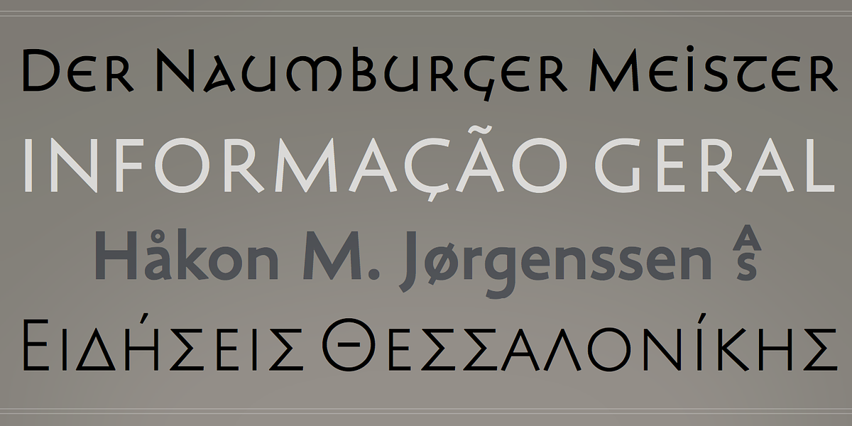 Lapidaria, a Sans Serif Font by Andreas Stötzner (Photo 6 of 7)
