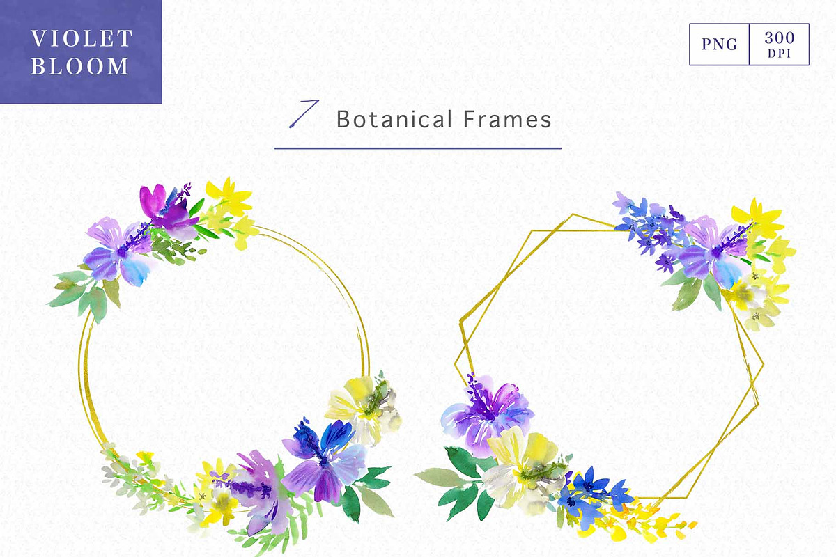 Watercolor Hibiscus & Tropical Birds, an Object Graphic by Sawango Designs (Photo 5 of 11)