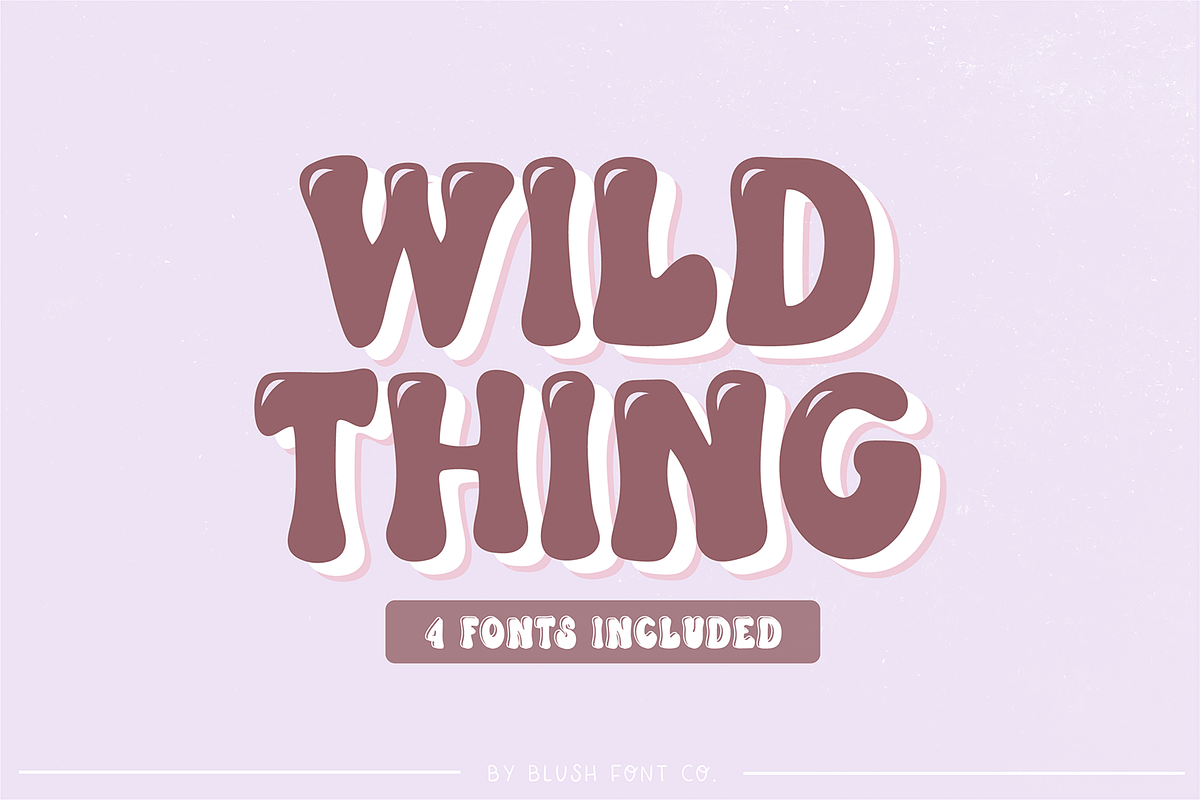 WILD THING Retro Font Family, a Font by Blush Font Co. (Photo 1 of 8)