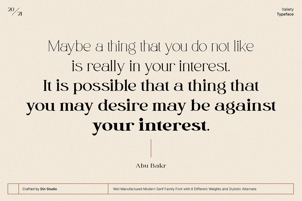 Valiety, a Serif Font by din-studio.com (Photo 2 of 10)