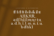Rilenda Modern Serif Font, a Serif Font by Storytype Studio (Thumbnail 12 of 13)