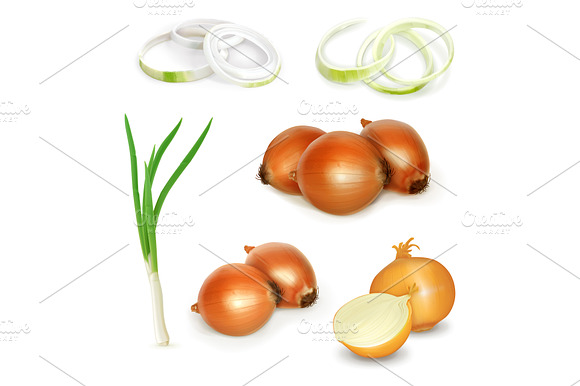 Onion Vegetable Vector Icon