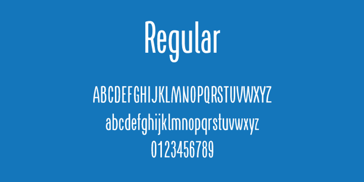 AS Naya, a Sans Serif Font by Aleksandr Sukiasov (Photo 1 of 6)