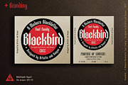 Blackbird - Blackletter font family, a Blackletter Font by Artistic & Unique (Thumbnail 11 of 16)