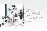 Mint Smiles, a Script Font by Nathatype (Thumbnail 4 of 10)