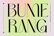 Bumerang - Display Serif, a Serif Font by Nirmana Visual (Thumbnail 1 of 15)