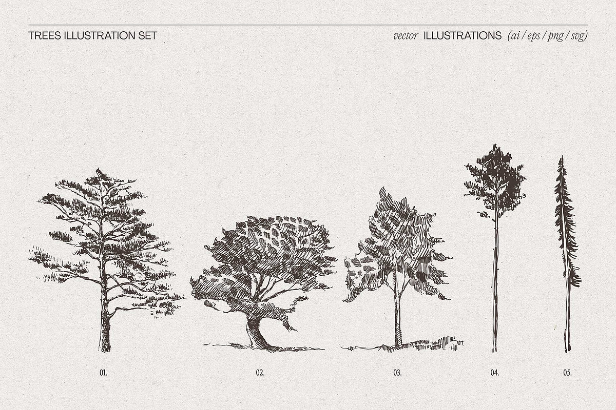 Hand-Drawn Trees Illustration Set, an Object Graphic by TheMountBirdStudio (Photo 5 of 6)