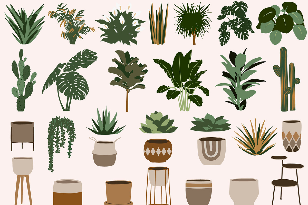 Boho house plants clipart, a Decorative Illustration by ApetekMarket (Photo 3 of 5)