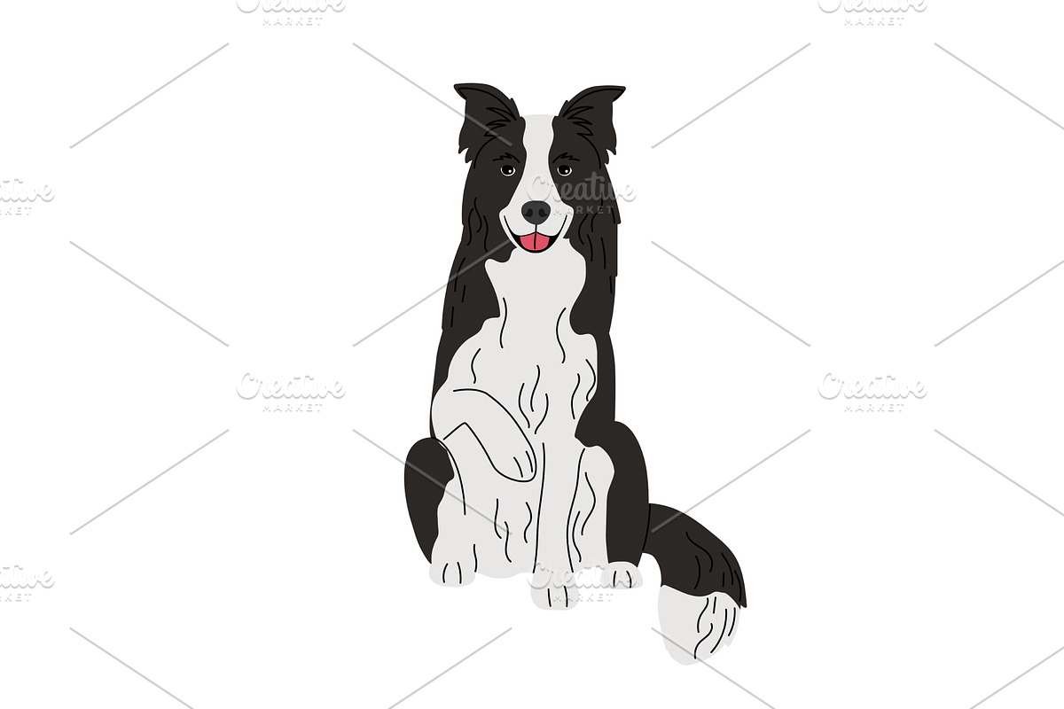 Joyful border collie dog sits with, an Animal Illustration by Stock-Smart-Start