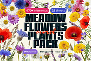 Meadow Flowers & Plants PNG Pack, an Object Graphic by Tomasz Ostrowski Design (Thumbnail 1 of 3)
