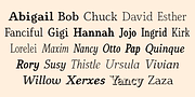 Youbee, a Serif Font by Ingrimayne Type (Thumbnail 9 of 12)