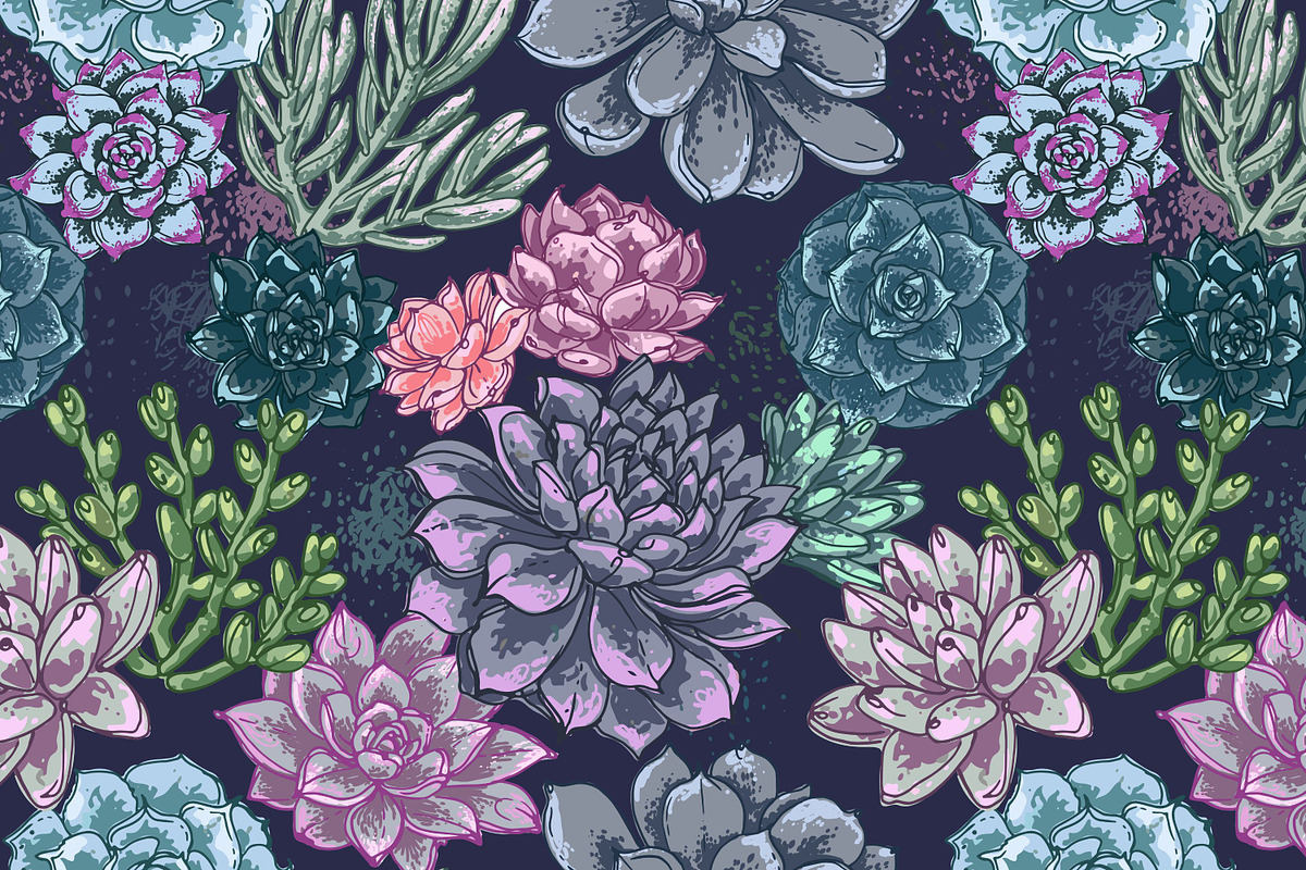Succulents. Vector flowers, a Decorative Illustration by irina.vaneeva (Photo 5 of 5)