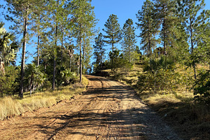Dirt Road
