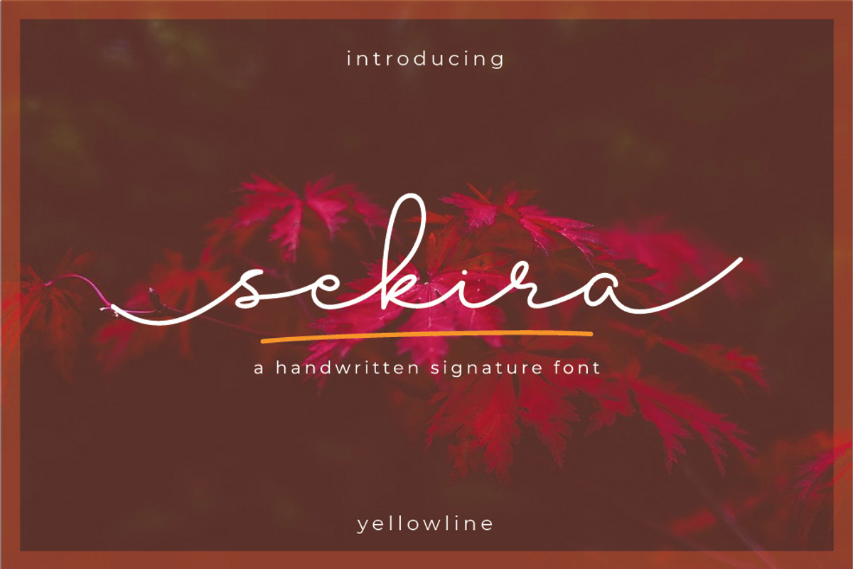 Sekira - Handwritten Script preview 2