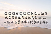 Toasted Marshmallow, a Script Font by Olio Design (Thumbnail 4 of 10)