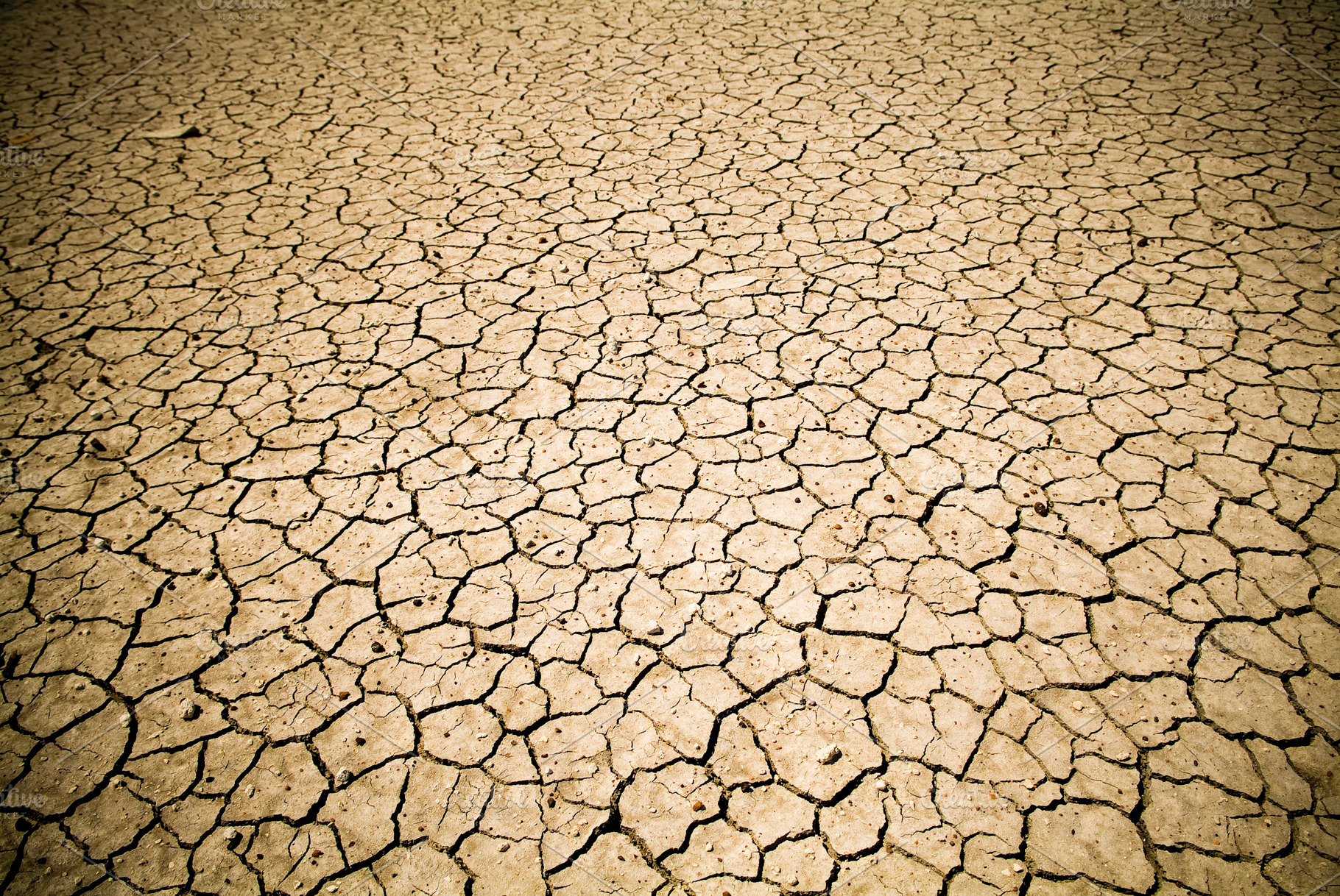 Cracked Ground Background, a Background Photo by THP Creative