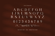 Boola Elegant Serif Font, a Serif Font by Perfectype (Thumbnail 7 of 8)