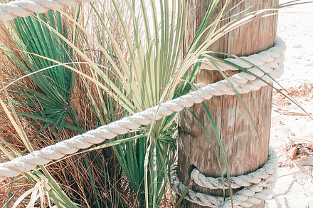 Beach Fence Post - Cali Version, an Arts & Entertainment Photo by The Wicker House