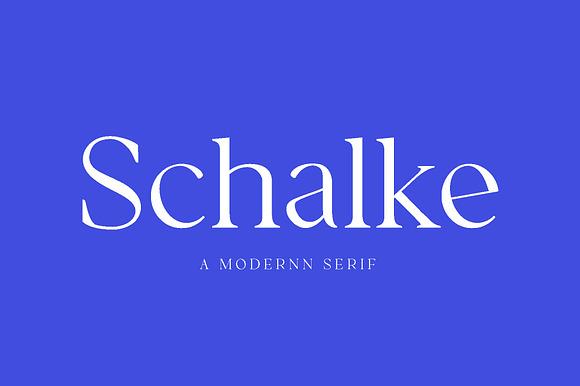 SALE! Schalke - Modernn Serif preview 8