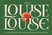 Louise - Elegant Ligatures Serif, a Serif Font by Fortunes Co (Thumbnail 1 of 14)