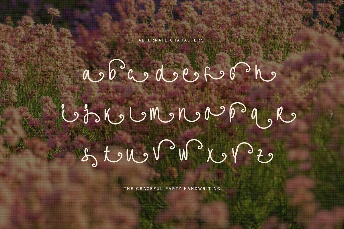 The Graceful Party Handwriting, a Handwritten Font by Sloulyfe (Photo 8 of 11)