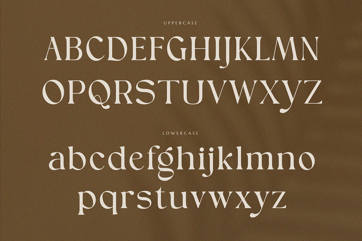 Ginger Bread, a Serif Font by ToniStudio (Photo 6 of 10)