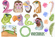 Tropical birds Cute Animals, an Animal Illustration by vivastarkids (Thumbnail 2 of 7)