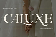 Caluxe – Modern Luxury Serif Font, a Font by roomspace creative lab (Thumbnail 7 of 11)