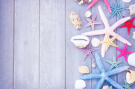 starfish and sea shells on wooden board, a Holiday Photo by Neirfy